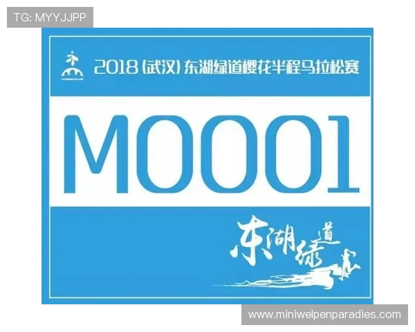 b体育在线注册平台优惠活动与福利政策，注册用户专享的丰富奖励和优惠内容