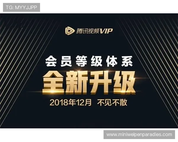 v体育真人版会员注册攻略全方位指南让你快速成为VIP会员享受专属福利 v体育真人版会员注册攻略全方位指南让你快速成为VIP会员享受专属福利