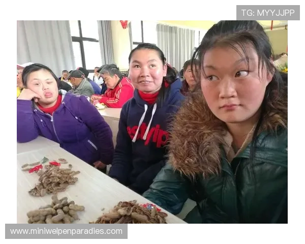 bob真人最新优惠活动与福利礼包详细介绍让你轻松享受更多福利