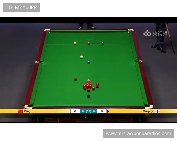 乐鱼体育真人视讯如何实现高清流畅的直播体验确保每一场比赛都精彩纷呈 乐鱼体育真人视讯如何实现高清流畅的直播体验确保每一场比赛都精彩纷呈