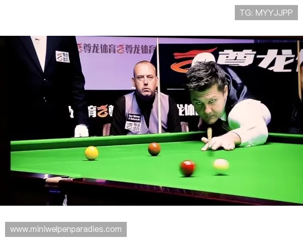 尊龙体育最新地址更新指南,详细介绍如何顺利访问平台避免登录困难与账号风险 尊龙体育最新地址更新指南,详细介绍如何顺利访问平台避免登录困难与账号风险