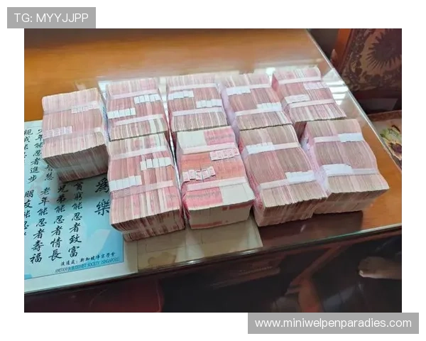 急速百家乐APP提供丰富的游戏场次选择,满足不同玩家的娱乐偏好和需求 急速百家乐APP提供丰富的游戏场次选择,满足不同玩家的娱乐偏好和需求