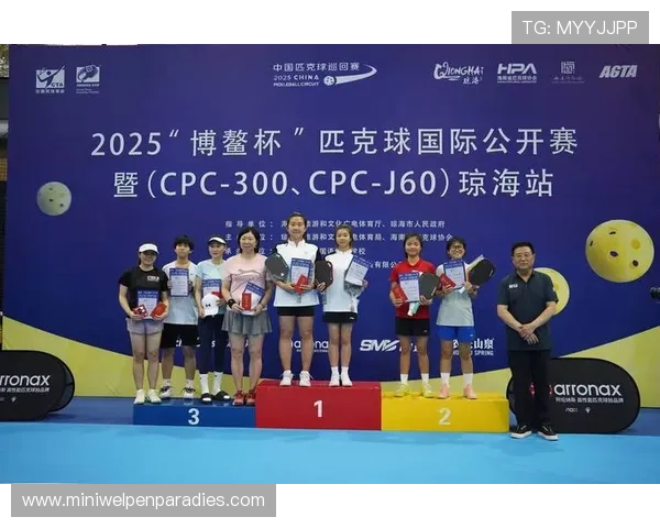 探索PA体育新版的创新功能,助力体育爱好者享受极致观赛体验 探索PA体育新版的创新功能,助力体育爱好者享受极致观赛体验