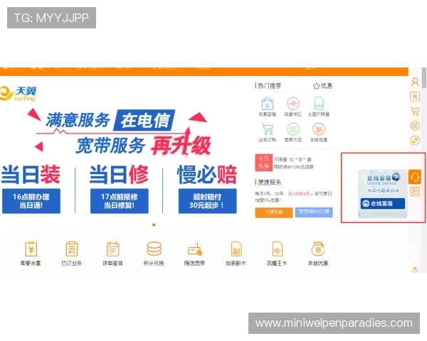 满冠体育下载过程中遇到问题怎么办？专业客服为您提供一站式解决方案