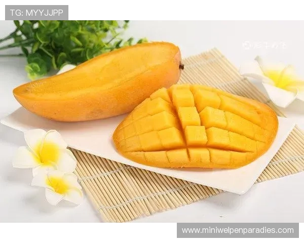 芒果体育奇异果体育的内容创新与技术升级，推动体育娱乐行业发展