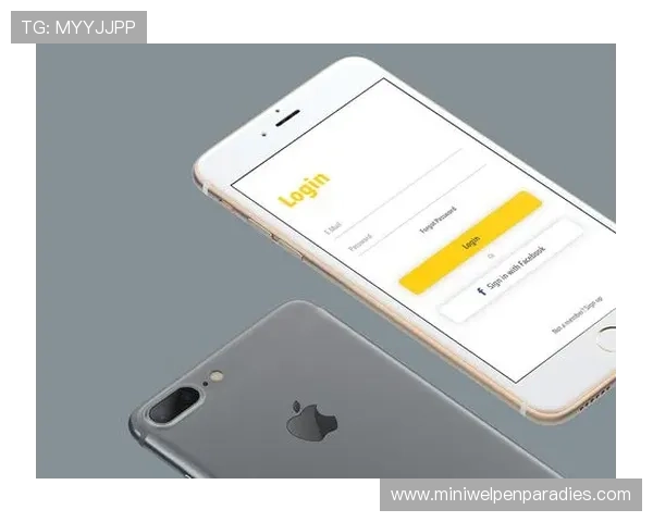 博鱼体育平台app界面操作指南，简洁易懂的步骤让您轻松掌握所有功能