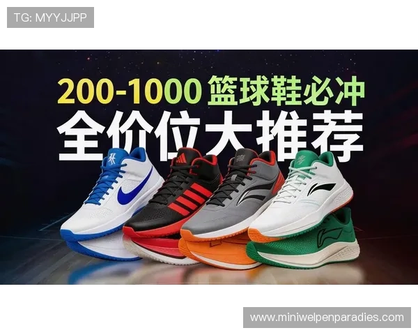 买球鞋的app排行榜2026最新推荐帮助你轻松找到性价比最高的运动鞋购买平台 买球鞋的app排行榜2026最新推荐帮助你轻松找到性价比最高的运动鞋购买平台