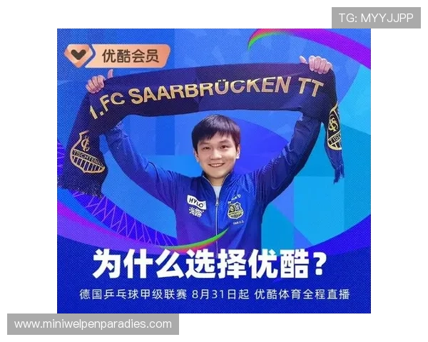 优酷体育直播最新赛事预告高清直播回放多平台同步推送体育内容丰富