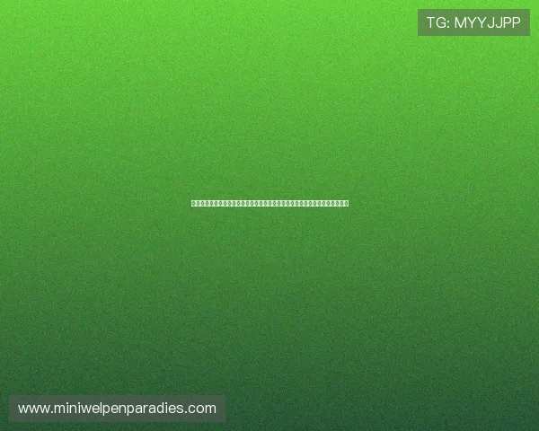 加拿大对阵波黑能否成功突围?深度剖析两队在世界杯出线形势中的优势与挑战 加拿大对阵波黑能否成功突围?深度剖析两队在世界杯出线形势中的优势与挑战