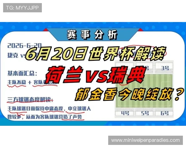 2026年荷兰对阵瑞典的世界杯历史交锋记录与比赛走势分析