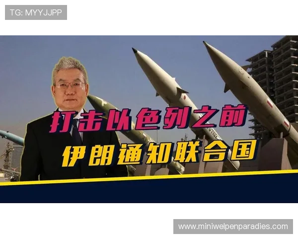 世界杯伊朗对埃及比赛期间的安全风险提示与观赛注意事项