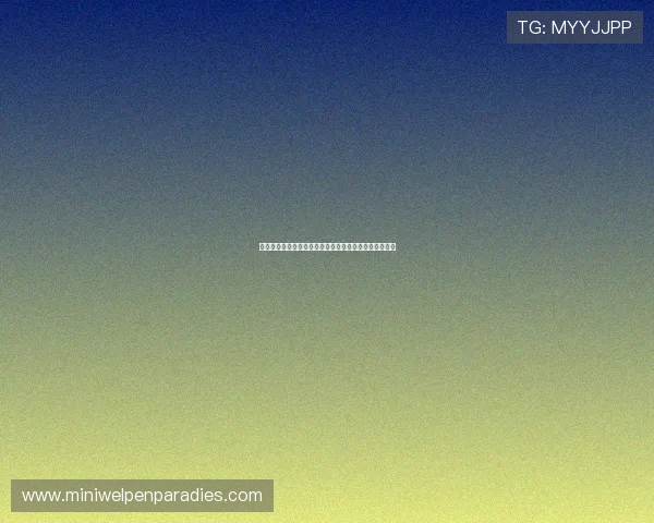 开云真人在哪里可以观看世界杯直播和相关赛事详细介绍